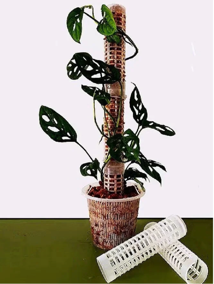 moss pole nz Plant Poles, Plastic – Hoya Obsession NZ