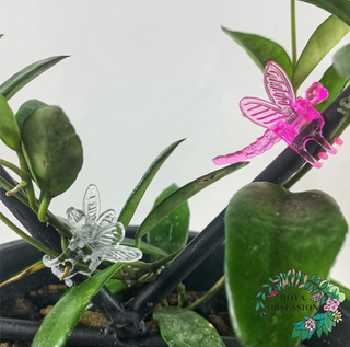 Plant Clips, Dragonfly , Assorted colors