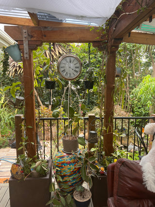 Hoya loyceandrewsiana