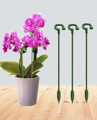 Plant Support for Potted Plants