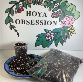 Potting Mix  for Hoya #2