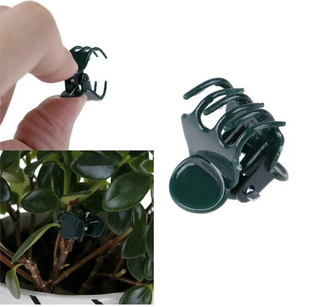 Plant Clips, Green