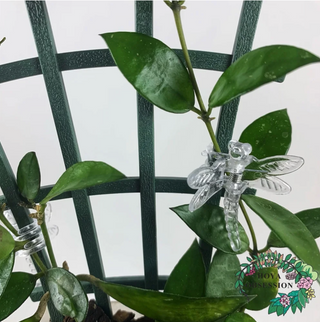 Plant Clips, Dragonfly , Clear