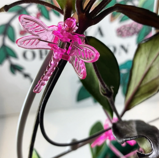 Plant Clips, Dragonfly, Pink