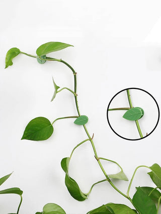Plant Fixed clips, Leaf Shape (2-pc)