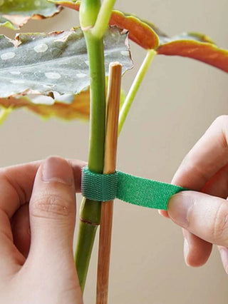 Plant Ties (Nylon)